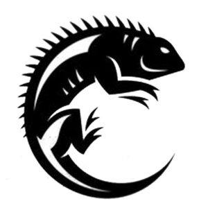 26112492_1541862435927899_7516087286048182340_n